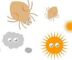 ダニ、ダニの死骸、カビはアレルギーになるかも?